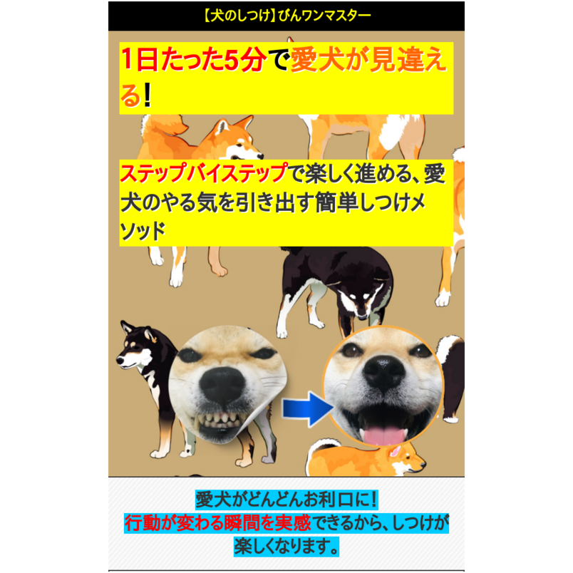 びんワンマスター