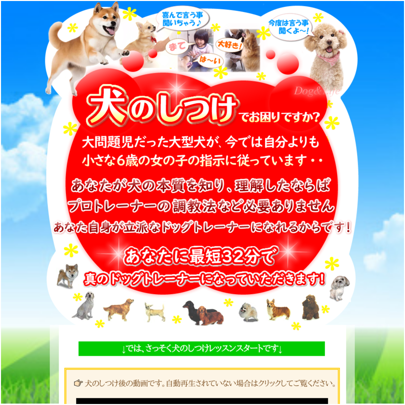 ６歳の女の子でもできた犬のしつけマニュアル