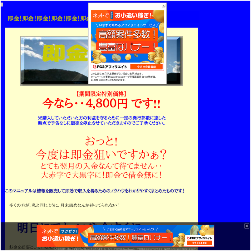 【期間限定特別価格】おっと今度は即金狙いですかぁ？とても翌月の入金なんて待てません・・大赤字で大黒字に！即金で借金無に！大逆転の発想転換！！