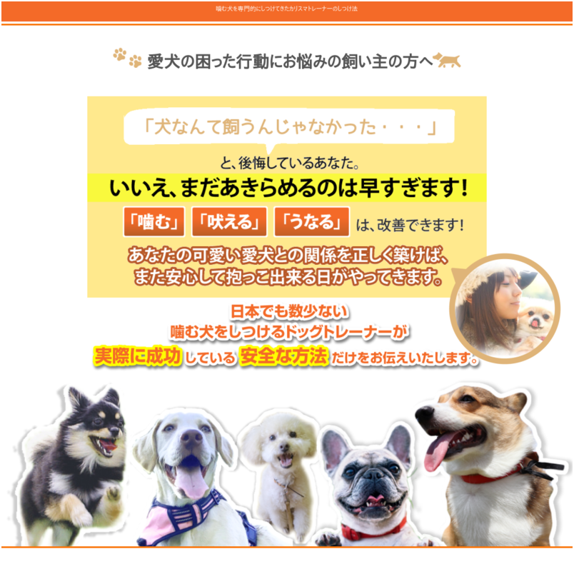 ■噛み犬のしつけに重点的に取り組んできたカリスマトレーナーのしつけ法■