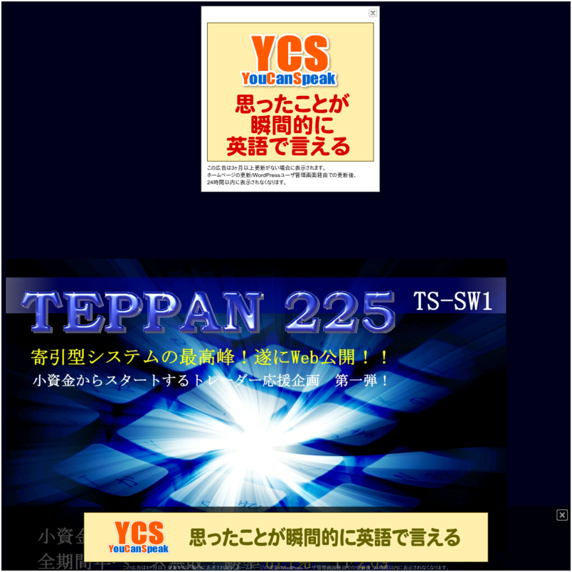 １０万円が１年で１００万円！の秘密！？日経２２５トレードシステム『ＴＥＰＰＡＮ２２５』ＴＳ－ＳＷ１