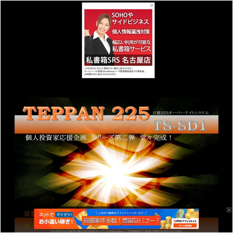 日経225で毎月+700円の利益を叩き出す!?TEPPAN225 TS-SD1