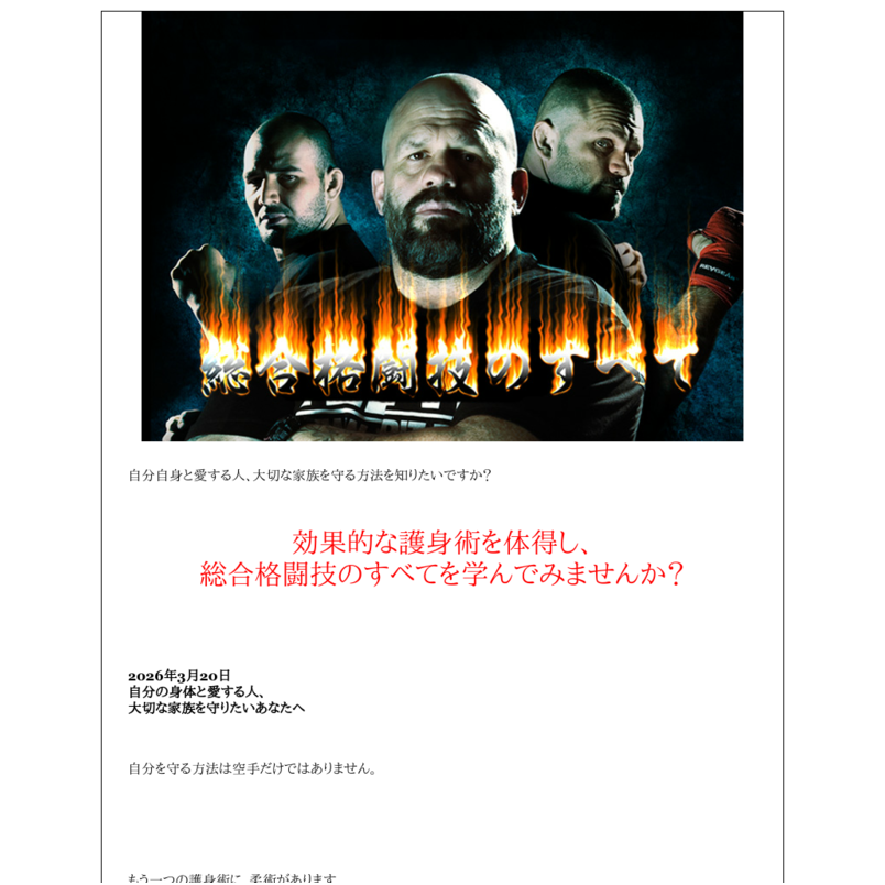総合格闘技のすべて