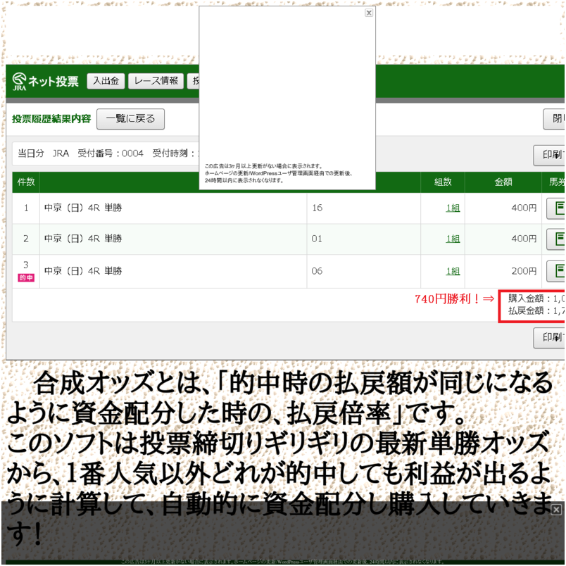 完全自動競馬投資ソフト　合成オッズ版！ 