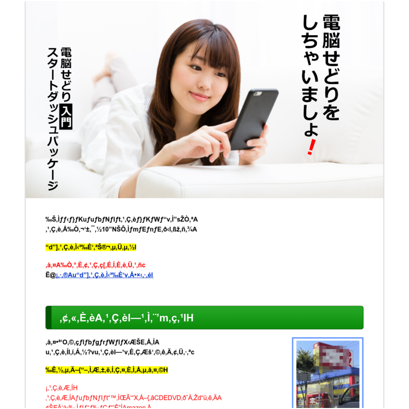 電脳せどり入門