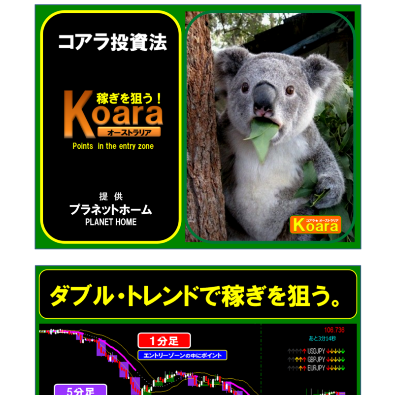 『コアラ』オーストラリア
