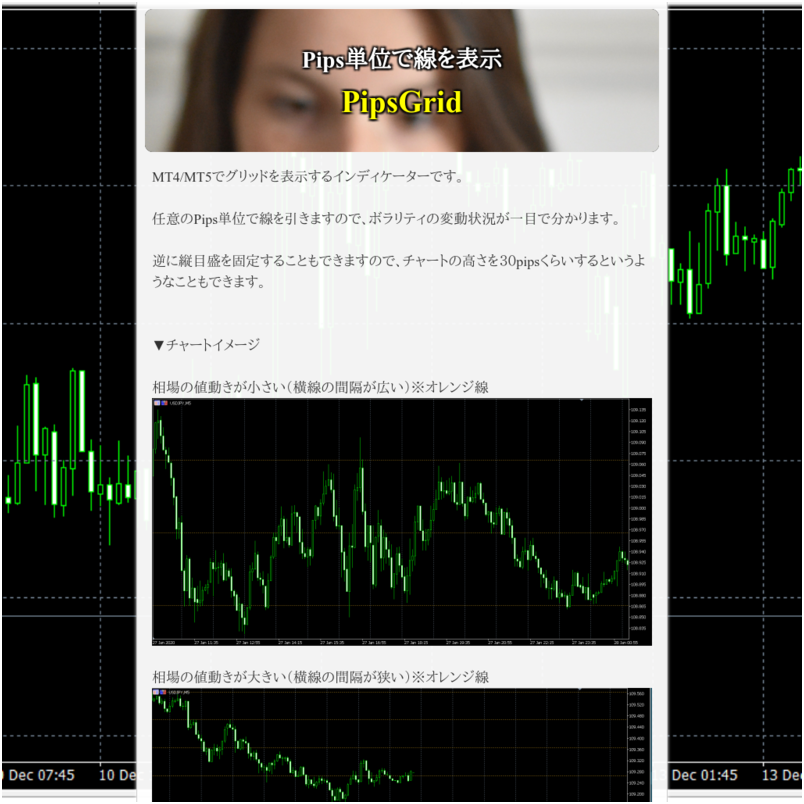 PipsGRID/MT4/MT5用グリッド表示ツール
