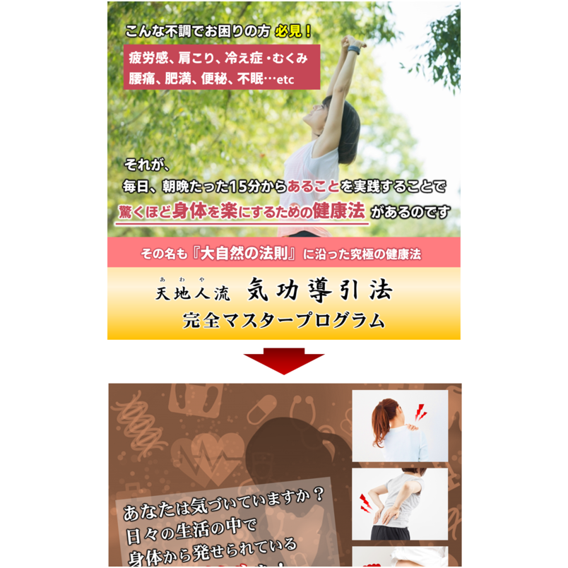 天地人流気功導引法完全マスタープログラム