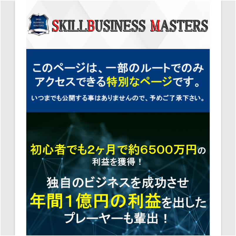 個人が在宅で月収１００万 稼ぐ為の情報販売ビジネス　～SKILL　BUSINESS　MASTERS～