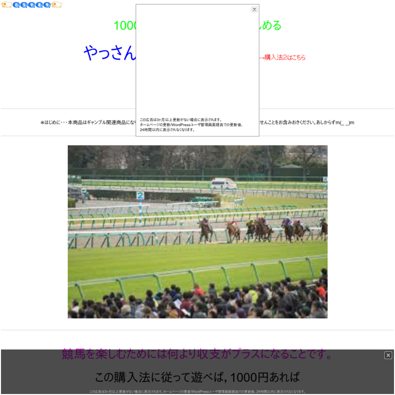千円でほぼ一日，それなりに競馬を楽しみたい方のための 「やっさん式馬券購入法」