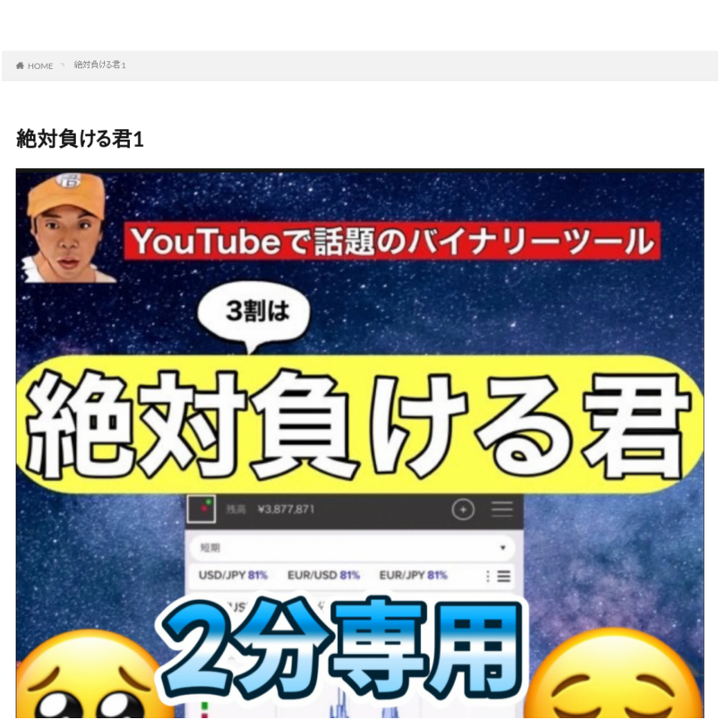 副業教室バイナリーツール「絶対負ける君」