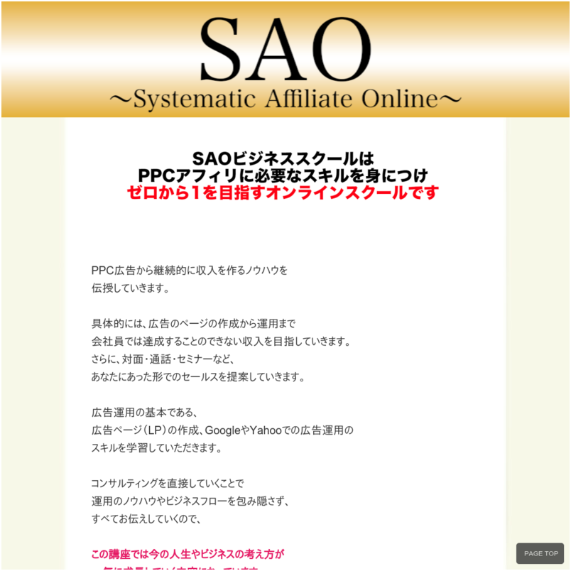 SAOビジネススクール