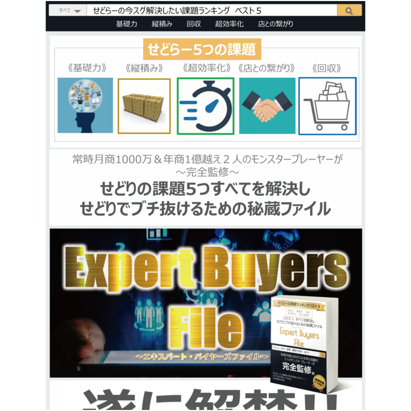 Expert Buyers File