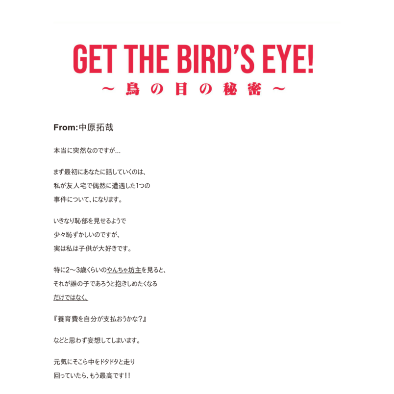 メタビジネスマスター講座『bird's eye』(IT_ev)